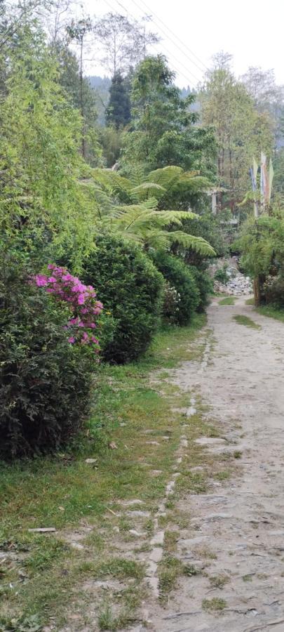 Ifseen Villa Pelling Exterior foto
