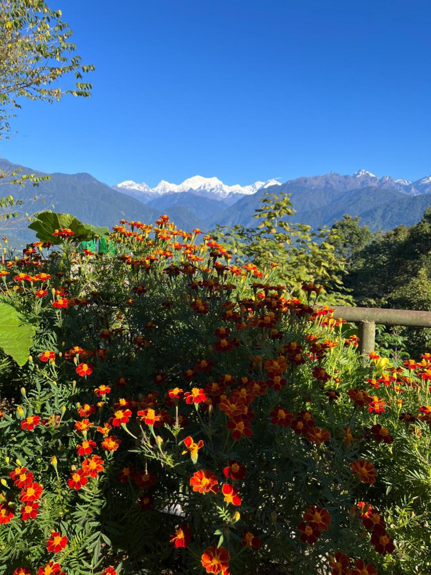 Ifseen Villa Pelling Exterior foto