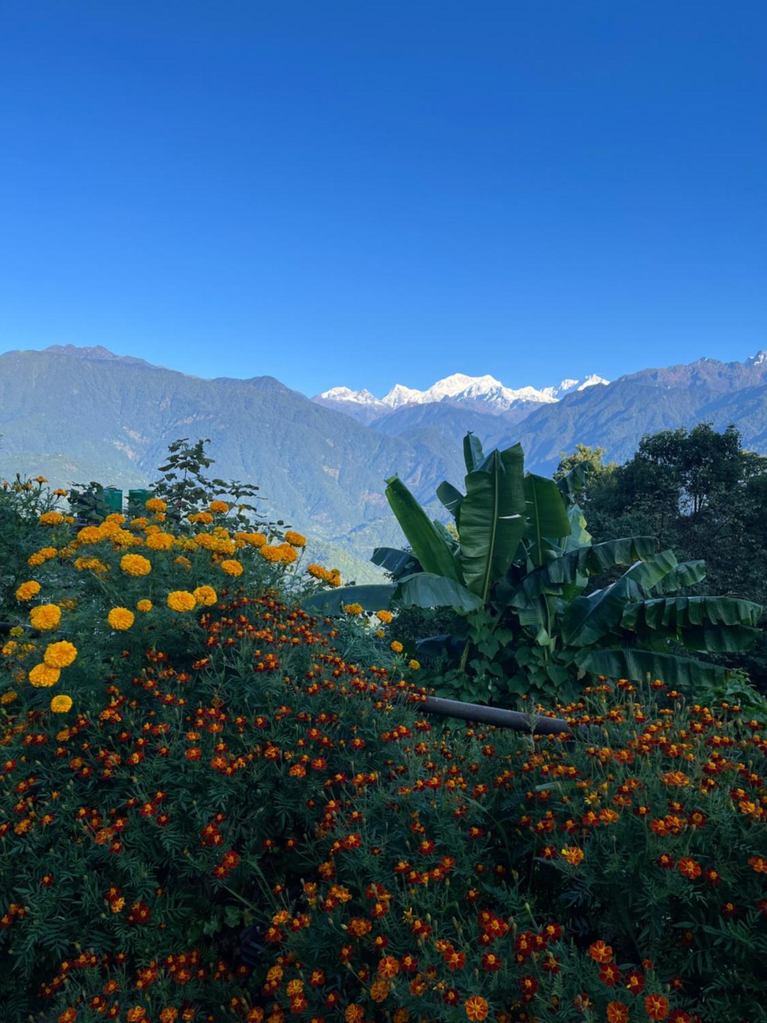 Ifseen Villa Pelling Exterior foto